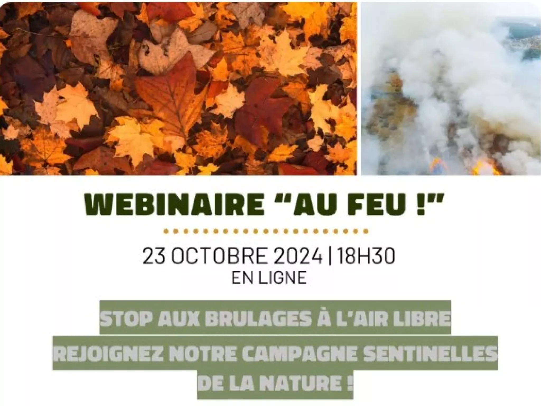 webinaire " AU FEU ! "