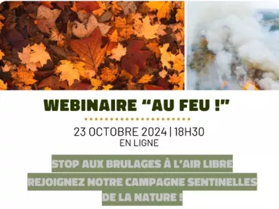 webinaire " AU FEU ! "